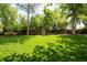 Expansive backyard featuring lush green lawn, mature trees, and a wooden fence at 10000 E Ohio Ave, Denver, CO 80247