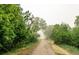Scenic walking path surrounded by mature trees and lush greenery in a natural setting at 10000 E Ohio Ave, Denver, CO 80247