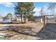 Spacious backyard with mature trees at 6025 S Sycamore St, Littleton, CO 80120