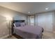 Basement bedroom with soft lighting, closet, and carpeting for a cozy and peaceful ambiance at 11890 Discovery Cir, Parker, CO 80138