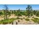 Scenic view of green field with several trees at 11890 Discovery Cir, Parker, CO 80138