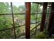 Window view overlooking a lush yard with mature trees and a glimpse of a swimming pool at 8130 E Bethany Pl, Denver, CO 80231