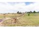 Ranch style home with a long driveway and expansive land at 8408 Vinegarroon Rd, Parker, CO 80138