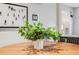 Close-up of a plant on a wood table with a view into a modern living space at 601 W 11Th Ave # 1101, Denver, CO 80204