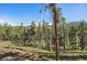 Beautiful wooded lot with mature trees and a serene setting at 34 Normandy Rd, Evergreen, CO 80439