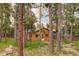 Charming cabin nestled amongst the trees with wood siding and a green roof at 184 Signal Rock Rd, Golden, CO 80403