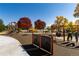 Outdoor neighborhood playground with slides, swings, and climbing structures at 9610 S Dover Way, Littleton, CO 80127