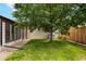 Lush green backyard with mature tree providing ample shade, offering a serene outdoor space at 5445 Reed Ct, Arvada, CO 80002