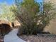 Stone pathway in backyard with mature trees and wooden fence at 3824 S Quemoy Way, Aurora, CO 80018