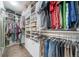 Walk-in closet with custom shelving and ample storage for clothes and accessories at 12136 Desert Hills St, Parker, CO 80138
