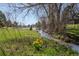 Serene pond view with grassy foreground and a cluster of yellow flowers at 4323 W Ponds Cir, Littleton, CO 80123