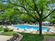 Community pool surrounded by lounge chairs and mature trees at 8406 Pebble Creek Way # 202, Highlands Ranch, CO 80126