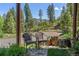 Inviting front porch with comfortable seating, lush landscaping and a serene view of nature at 32209 Blue Springs Dr, Evergreen, CO 80439