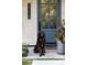 Charming blue front door with address numbers, flanked by potted plants, and featuring a sweet dog at 1641 S Corona St, Denver, CO 80210