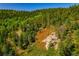 Beautiful view of forest trees, leaves, and rocks with sunlight at 13007 Kuehster Rd, Littleton, CO 80127