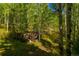 Wooded lot showcases old timbers in a forest, providing a peek into the area's natural beauty and possibilities at 13007 Kuehster Rd, Littleton, CO 80127