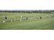 Community golf course with golfers practicing their swing on a sunny day at 10162 Bluffmont Ln, Lone Tree, CO 80124
