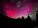Night time scenery with silhouetted trees against a sky with colorful lights and clouds at 30717 Conifer Mountain Dr, Conifer, CO 80433