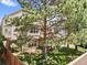 This backyard features a wooden deck, mature trees, a lawn, and a privacy fence at 6449 S Jamaica Cir, Englewood, CO 80111