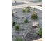 Landscaped front yard with gravel, colorful flowers, and a stone at 3736 S Lincoln St, Englewood, CO 80113