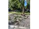 Landscaped front yard with gravel and plants at 3736 S Lincoln St, Englewood, CO 80113