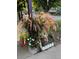 Inviting front porch featuring decorative grasses and colorful flowers, enhancing curb appeal at 14939 E Harvard Ave, Aurora, CO 80014
