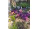 Landscaping featuring vibrant purple flowers, yellow flowers, and decorative statues at 14939 E Harvard Ave, Aurora, CO 80014