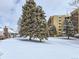 Snow covered street view showcasing condo and a single Gathering house with large mature evergreen trees at 13908 E Linvale Pl, Aurora, CO 80014