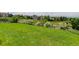 Expansive backyard featuring lush green lawn, mature landscaping, and privacy fencing at 9537 Chesapeake St, Highlands Ranch, CO 80126