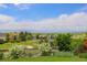 Breathtaking views from the lush backyard, with tree-lined property at 9537 Chesapeake St, Highlands Ranch, CO 80126