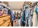 Functional walk-in closet is well-organized with shelves and hanging space at 9929 W Fairview Ave, Littleton, CO 80127