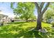 Expansive backyard featuring mature trees and a lush lawn at 3400 Garland St, Wheat Ridge, CO 80033