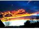 Dramatic sunset sky with orange clouds silhouetted against trees at 1862 Mallard Dr, Superior, CO 80027