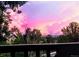 Vibrant sunset sky with pink and purple hues, trees silhouetted in foreground at 1862 Mallard Dr, Superior, CO 80027