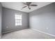 Well-lit bedroom features plush carpet, a ceiling fan and a large window at 1473 Red Cliff Way, Castle Rock, CO 80109
