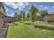 Green backyard featuring a lush lawn, mature trees, a garden, and an outdoor kitchen at 4203 E 126Th Ave, Thornton, CO 80241