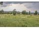 Scenic landscape view of field with mountains in the background at 12338 W Dorado Pl # 107, Littleton, CO 80127