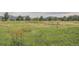 Green field with view of mountains in the distance at 12338 W Dorado Pl # 107, Littleton, CO 80127