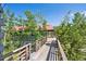 Wooden walkway to the cabin deck is surrounded by lush green trees, offering a secluded and private entrance at 3945 Douglas Mountain Dr, Golden, CO 80403