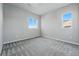 This bedroom is bright with large windows and has clean carpeted floors at 4825 Basalt Ridge Cir, Castle Rock, CO 80108