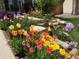 Close-up of vibrant flower bed with tulips in a landscaped front yard at 9265 Buttonhill Ct, Highlands Ranch, CO 80130