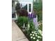 Beautiful flower garden with purple delphiniums and daisies next to a walkway at 9265 Buttonhill Ct, Highlands Ranch, CO 80130