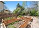 Several organized garden boxes in a sunny backyard with a basketball hoop at 9265 Buttonhill Ct, Highlands Ranch, CO 80130