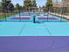 Basketball half-court in blue and purple with net and fencing and green space and trees at 2964 S Akron St, Denver, CO 80231