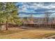 Expansive fenced backyard with mature trees, offering privacy and scenic views at 6812 Blue Jay Dr, Parker, CO 80138