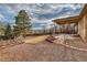 Spacious backyard with a covered patio, a well-maintained lawn, mature trees, and a scenic view at 6812 Blue Jay Dr, Parker, CO 80138