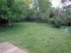 Spacious backyard with a lush green lawn and mature trees, offering a private and serene outdoor space at 13651 Silverton Dr, Broomfield, CO 80020