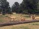 A herd of deer graze on a property highlighting the peace and nature the area provides at 7076 Inspiration Dr, Parker, CO 80138