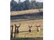 Three deer in a field at 7076 Inspiration Dr, Parker, CO 80138