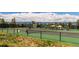 Well-maintained tennis courts surrounded by lush greenery and a chain-link fence at 7022 Homeplace St, Castle Rock, CO 80108